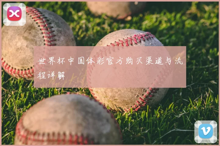世界杯中国体彩官方购买渠道与流程详解