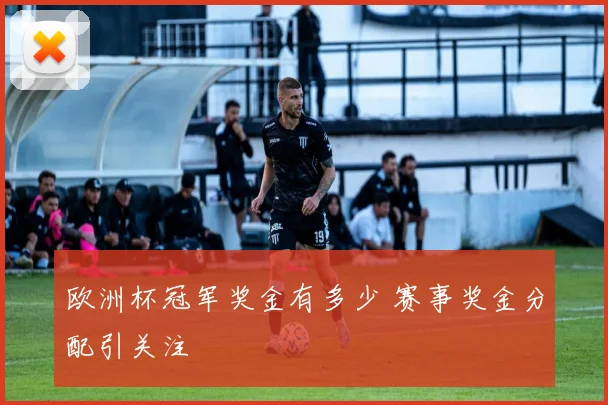欧洲杯冠军奖金有多少 赛事奖金分配引关注