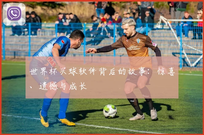 世界杯买球软件背后的故事：惊喜、遗憾与成长