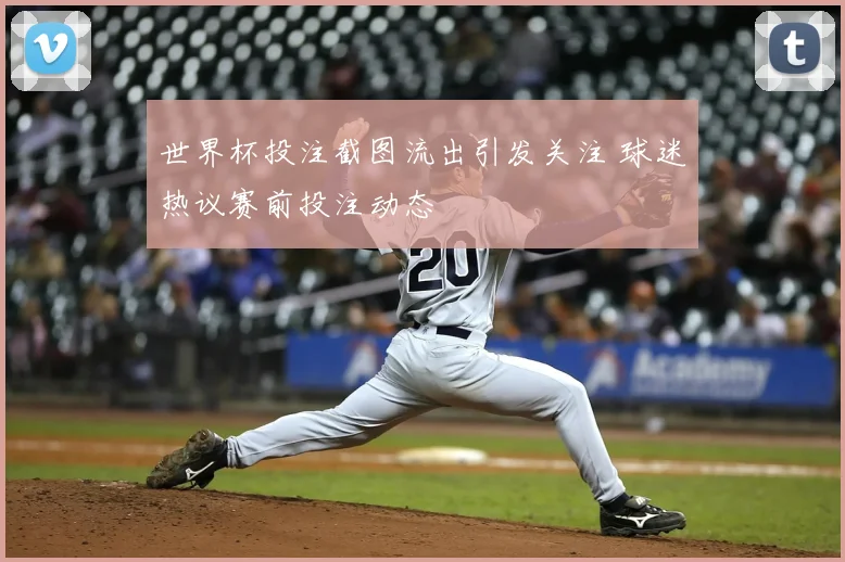 世界杯投注截图流出引发关注 球迷热议赛前投注动态