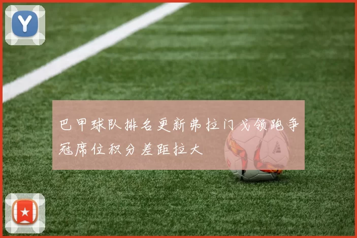 巴甲球队排名更新弗拉门戈领跑争冠席位积分差距拉大