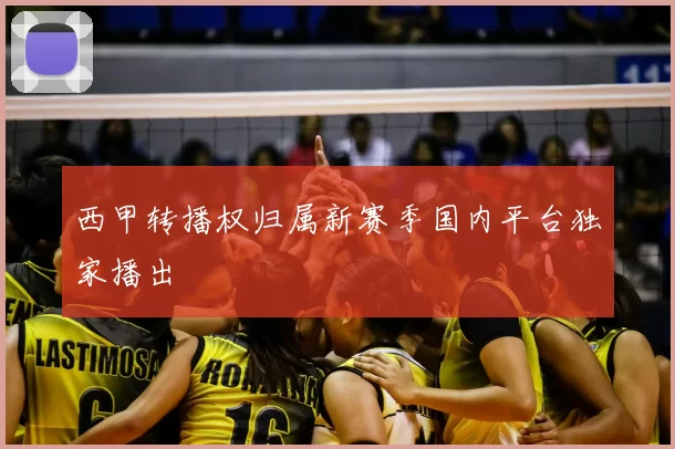 西甲转播权归属新赛季国内平台独家播出