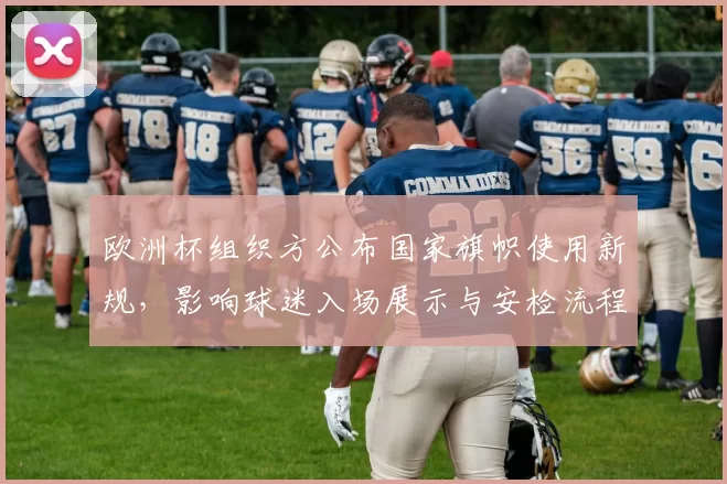 欧洲杯组织方公布国家旗帜使用新规,影响球迷入场展示与安检流程